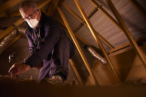 Best Residential Insulation in Holly Springs, GA